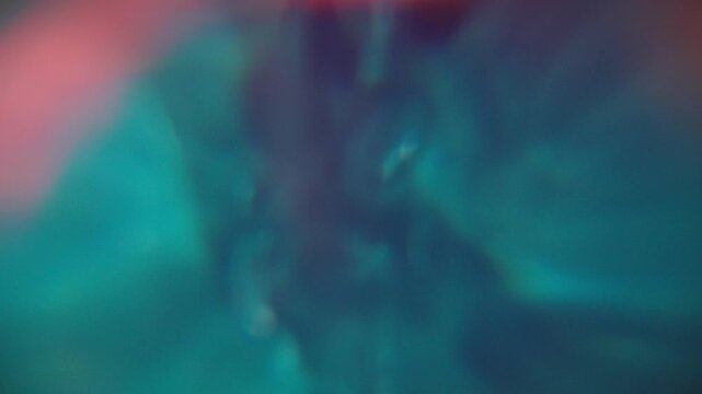 Experimental Abstract Texture for Cutaway, B-Roll, Transition. Plants and Sea Animal