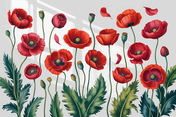Fototapeta premium Red poppy flowers bloom vibrantly in a green summer meadow, showcasing the beauty of nature's floral artistry
