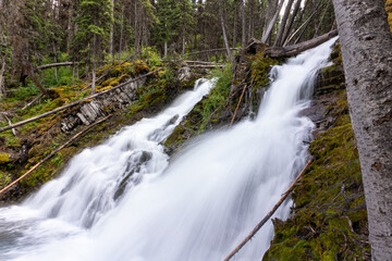 waterfall in the forest