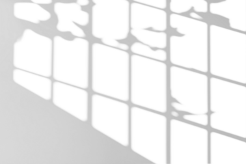 shadow overlay effects of realistic window shadow and tree branch shadow on wall,Summer sunlight and shadow overlay effect