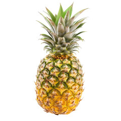 Fototapeta premium Single pineapple, vibrant yellow-green