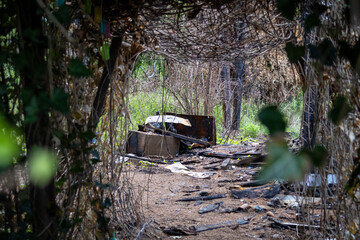 Burned-Down and Overgrown Path with Debris
