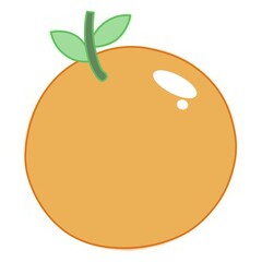 vector illustration of an orange