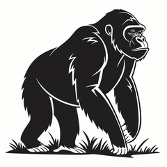 A powerful gorilla stands tall amidst the grass