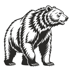 Obraz premium A roaring grizzly bear illustration isolated on white background