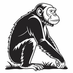 Chimpanzee sitting on grass, black and white illustration