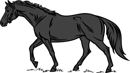 Black horse illustration vector image of a beautiful equine animal for riding and equestrian design needs