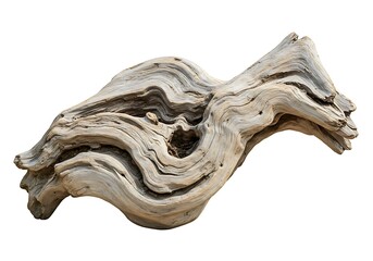 Gnarly weathered driftwood with intricate textures and curves isolated on white background