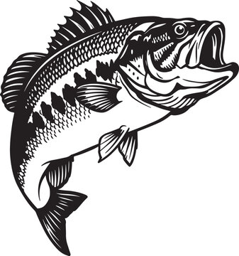 black and white bass fish jumping clip art preview