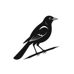 Sparrow Silhouette Facing Left – Solid Black
