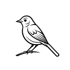 Line Drawing of Songbird – Outline Style
