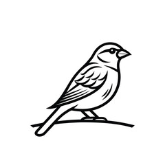 Minimal Line Art Sparrow – Clean Vector
