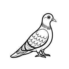 Pigeons Black and White Line Art 
