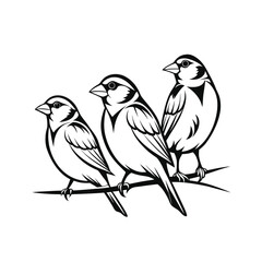 Three Birds Sitting Together – Line Drawing