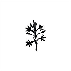 Black Flower