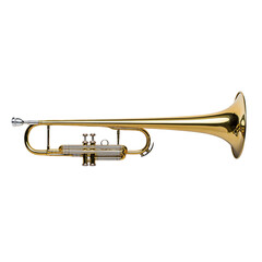 Obraz premium Polished Gold Trumpet Against