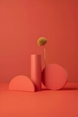 Coral geometric shapes cylinder sphere semicircle flower still life product photography