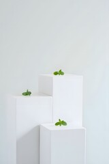 Minimalist product display mockup with white blocks and fresh mint leaves for branding concept