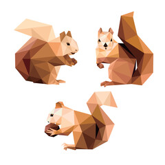 Squirrel Animal Set in low poly polygonal.  Eating Squirrel Icon in abstract set. Vector Illustration of Squirrel.