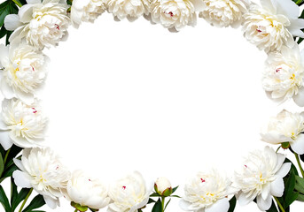 White Peony Flower Border Frame with Green Leaves on White Background
