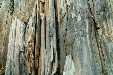 Rocky coastline in Maine