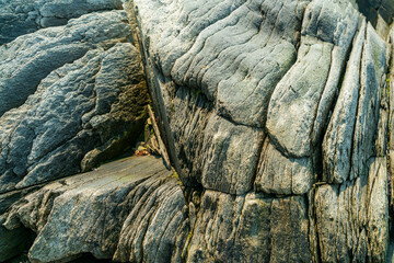Rocky coastline in Maine