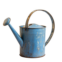 Watering plants effectively vintage watering can