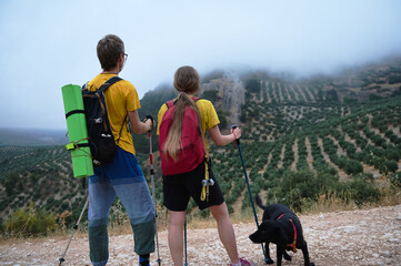 Couple Enjoying a Scenic Mountain Hike with Their Dog in Nature