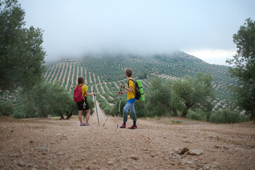 Scenic Mountain Hiking Adventure with Trekking Poles in Landscaped Fields