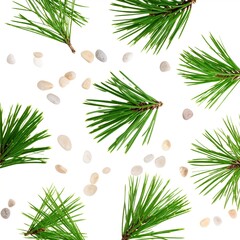 Overhead View Of Green Pine Branches And Small White And Tan Stones On White Background