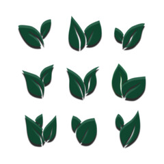 green leaves on white background