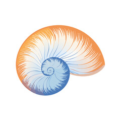 Detailed Illustration of a Nautilus Shell with Blue and Orange Tones