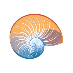 Colorful Nautilus Shell Illustration on Black Background