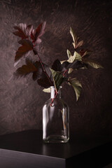 Rami con foglie in vaso di vetro trasparente su sfondo scuro con texture, still life botanico...