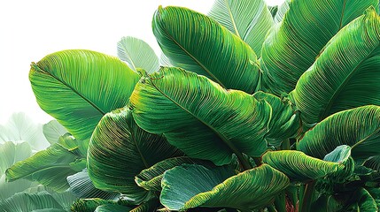 Lush green leaves in a dense cluster.