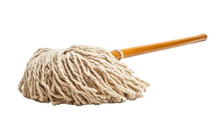 Large mop headTransparent background, PNG file