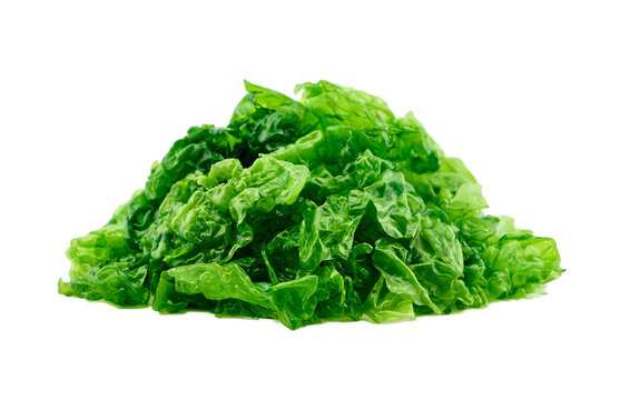 closeup heap of green laver ulva lactuca or sea lettuce seaweed cutout