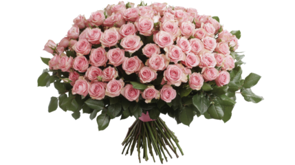 Mother's Day flower bouquet pink roses, background isolated on a Transparent background, PNG file.