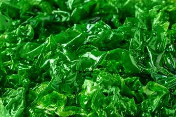closeup green laver ulva lactuca or sea lettuce seaweed texture background © boommaval