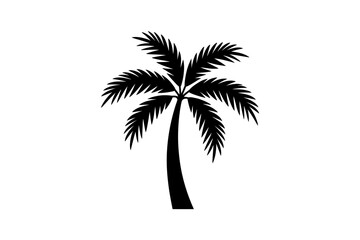 Obraz premium Silhouette of a single palm tree on white background