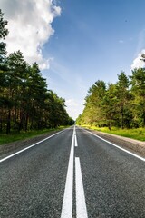 Road with trees on both sides and a clear blue sky. Vertical background. Wallpapers phone.