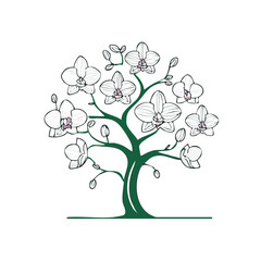 Obraz premium Orchid tree illustration delicate white flowers on green branches a botanical graphic for elegance and beauty on black