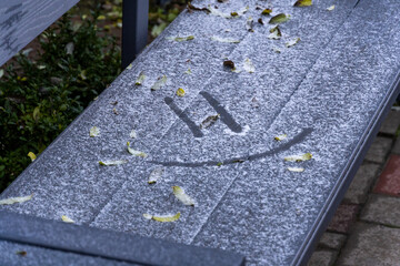 Leaves scattered on a frosty bench reveal a cheerful carving while the sun rises in a quiet park