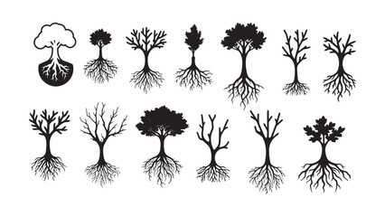 Root Silhouette Collection Vector Illustration
