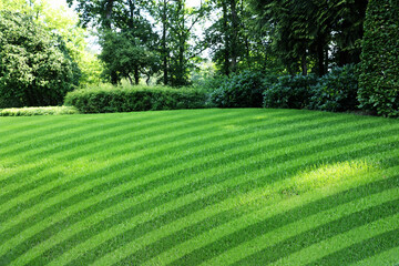 Fresh green lawn cut in stripes outdoors