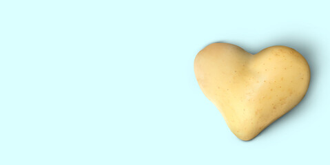 Heart shaped potato on light blue background, top view. Banner design with space for text