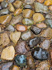 Close-up texture of wet cobblestone pavement with natural color variations