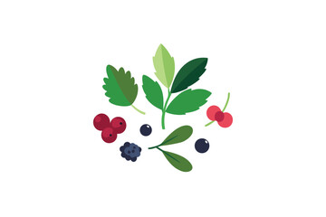 Watercolor Herbs And Assorted Forest Berries Design