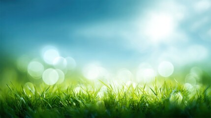 Fototapeta premium Vibrant Green Grass Field Under Bright Blue Sky with Soft Cloud Flare Sunlight.
