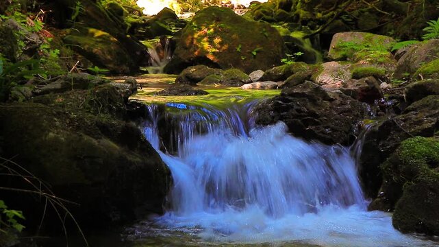 A 20-second video still shot of the Aguzou River in the Hautes Corbi&egrave;res mountains of southern France. Small waterfalls in the middle of the forest.

